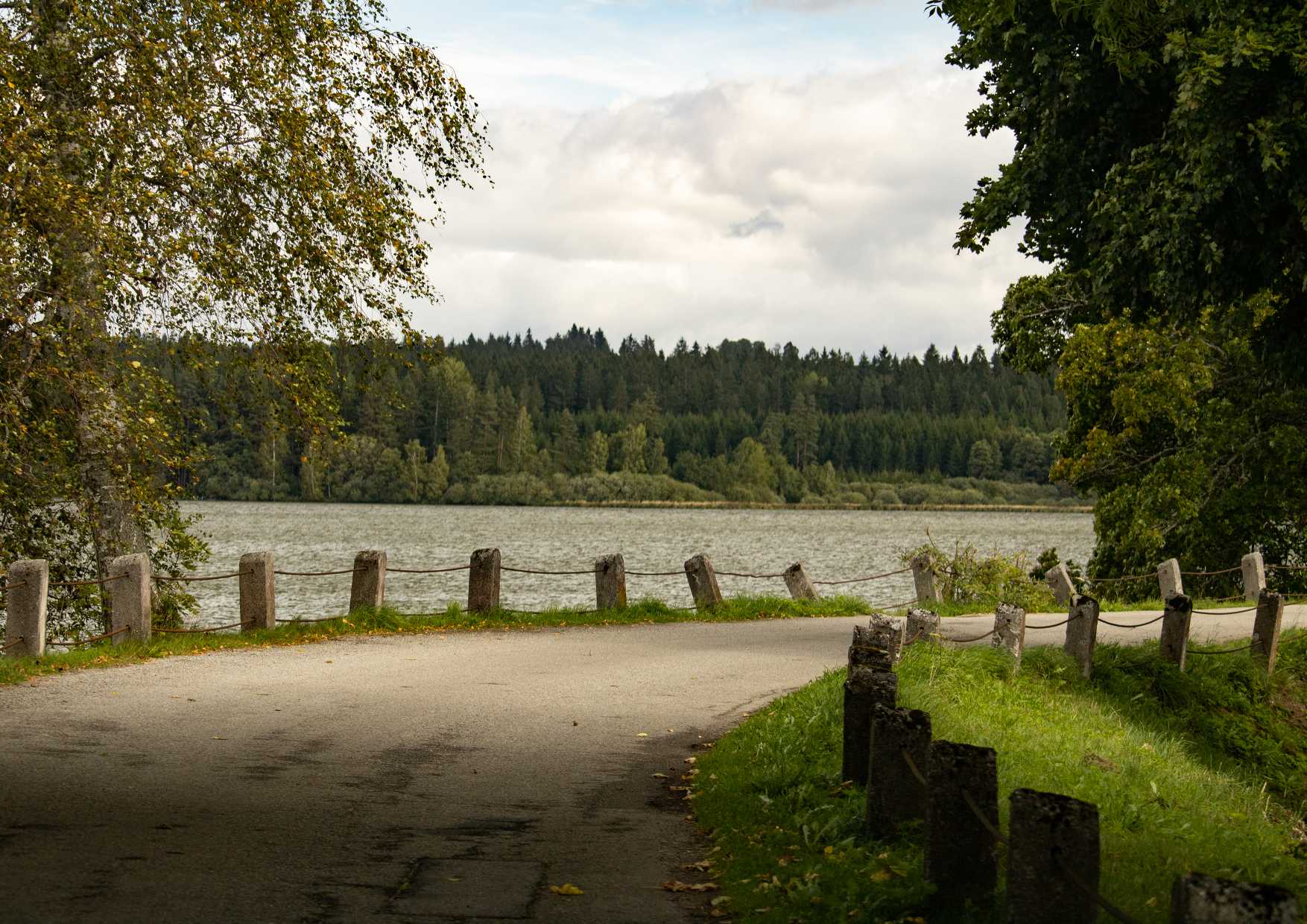 2023 Photo 18